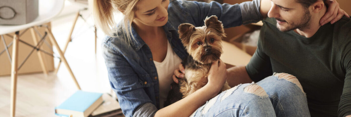 Find the Right Apartment that Offers Pet-Friendly Apartment